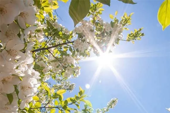 سیاسی موسم گرم ،آج ملک کے بیشتر مقامات پر موسم خشک رہے گا