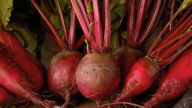 چقندر کے 5 بڑے فائدے جو دل اور دماغ کو تندرست اور تندرست رکھتے ہیں