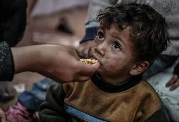 شمالی غزہ کے رہائشی جانوروں کے چارے پر گزارہ کرتے ہیں