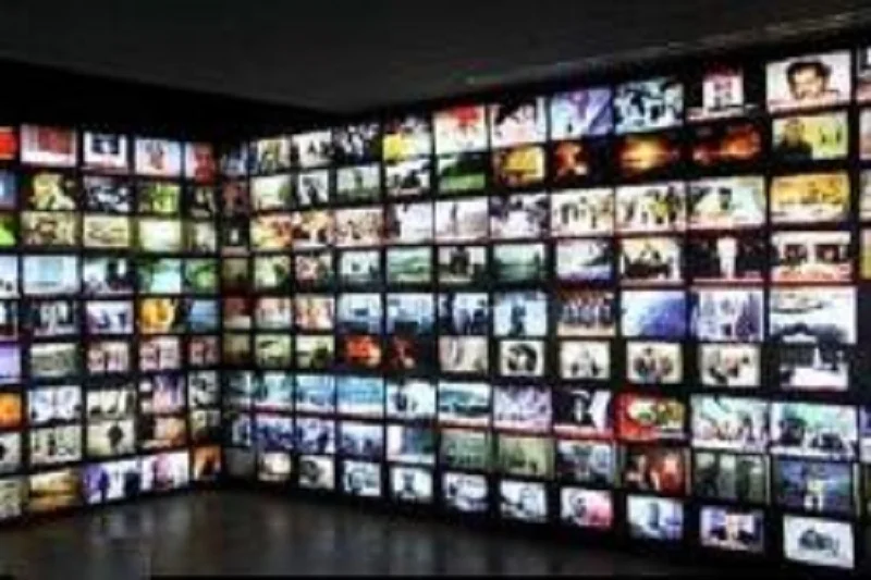 امریکہ نے پاکستانی میڈیا سے کہا کہ وہ مضبوط ہے، اختلاف کی گنجائش ہے!