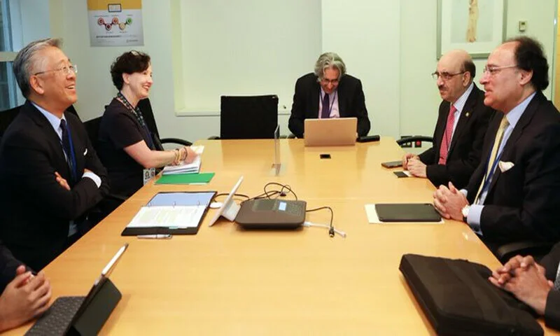 وزیر خزانہ نے پاکستان امریکہ اقتصادی شراکت داری کو بڑھانے پر زور دیا