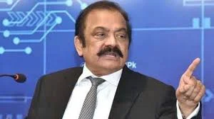 نواز شریف سے ن لیگ کی صدارت سنبھالنے کی درخواست کی گئی ہے، رانا ثنا اللہ