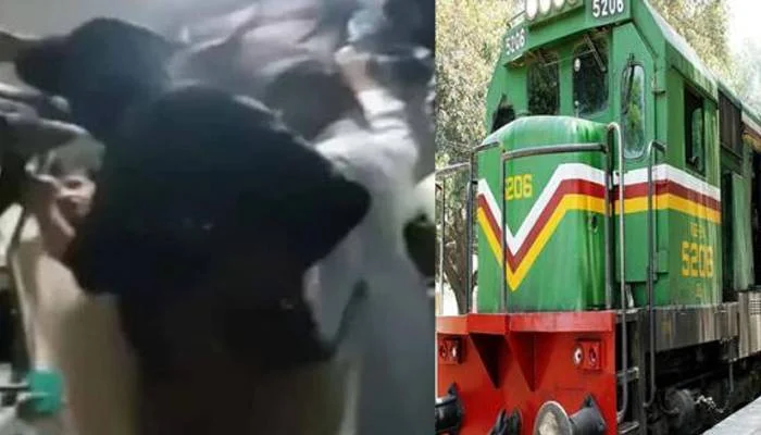 ملت ایکسپریس حادثہ کا شکار، پیٹی بھائی کو بچانے کے لیے پولیس متحرک