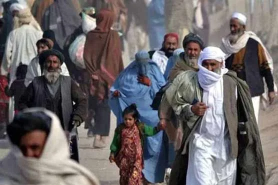 پاکستان چھوڑنے والے افغانوں کی تعداد 556,548 تک پہنچ گئی