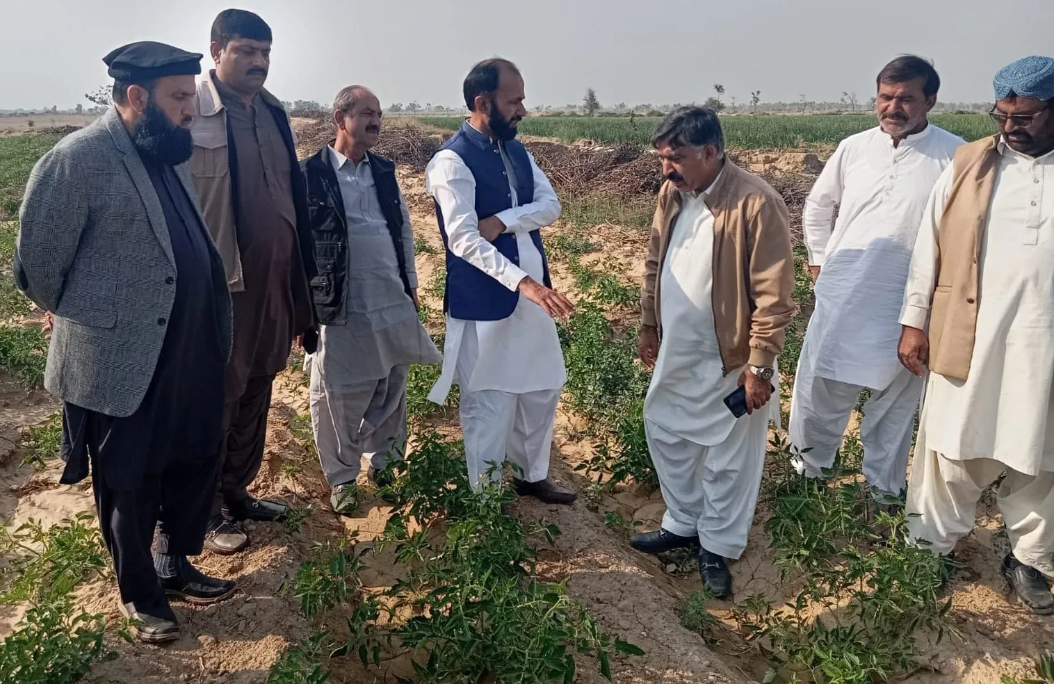 کپاس کی اگیتی کاشت ہی کسانوں کی فلاح و بہبود کی ضامن :سپیشل سیکرٹری زراعت جنوبی پنجاب