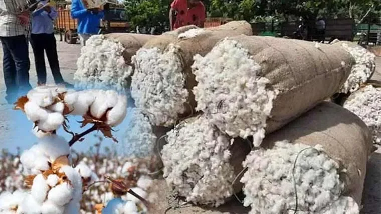 نیوزی لینڈ میں کھیلنا مشکل، کپتان محمد رضوان کا اعتراف