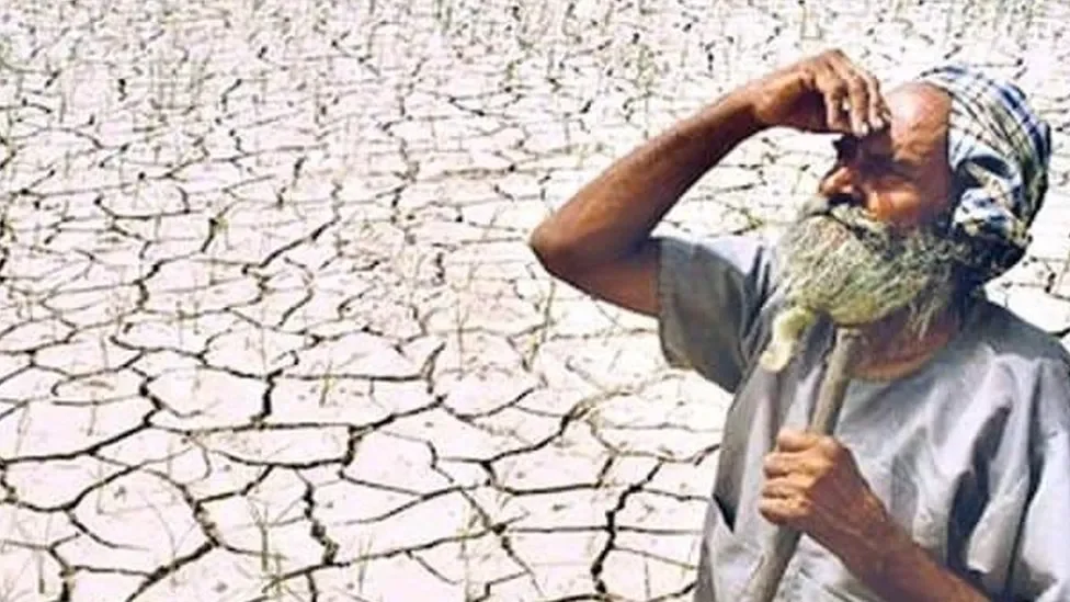 چولستان میں خشک سالی کے اثرات: پانی کے ذخائر خشک، جانور مرنے لگے