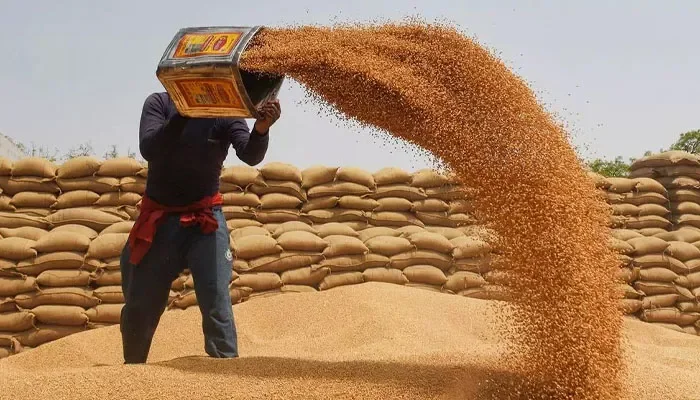پنجاب حکومت کا گندم کے کاشتکاروں کیلئے اہم اعلان