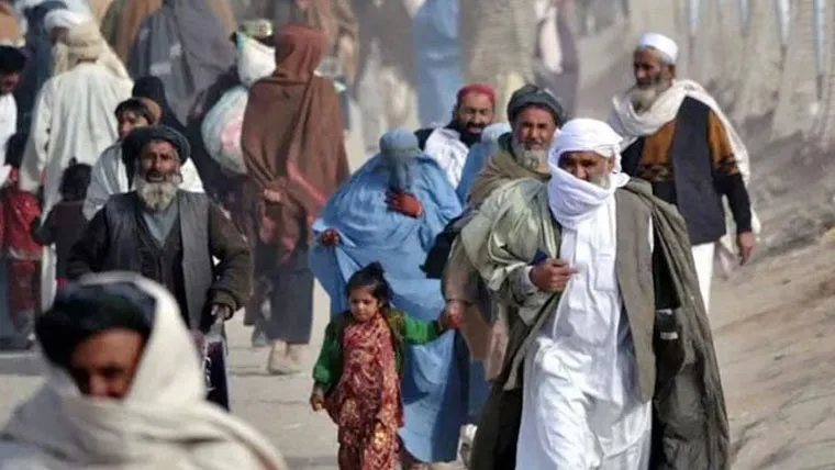 پنجاب بھر سے 5020 غیر قانونی مقیم تارکین ڈی پورٹ