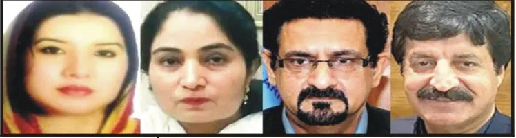 سرائیکی ایر یا سٹڈی سنٹر کی ”پگ“ پھر بیرونی حملہ آوروں کے حوالے