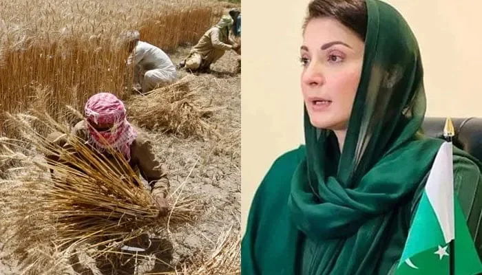 کسان پیکج کا اعلان: مریم نواز کی زیر صدارت اہم اجلاس