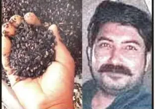 گندم خریدوفروخت میں گھپلے،فوڈ انسپکٹر ثاقب ورک نے مبینہ کرپشن کی انتہا کر دی