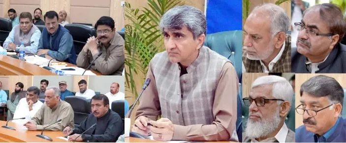 کپاس کی کاشت کا پہلا مرحلہ مکمل ہوچکا : افتخار علی سہو