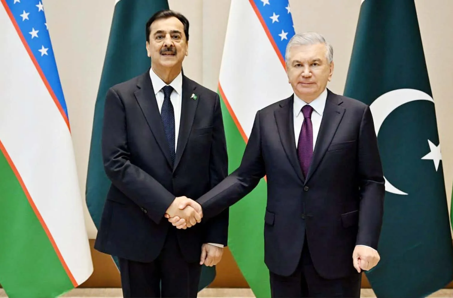 چیئرمین سینیٹ کی ازبک صدر سے ملاقات،تاشقند،لاہورپروازوں کی بحالی خوش آئند قرار