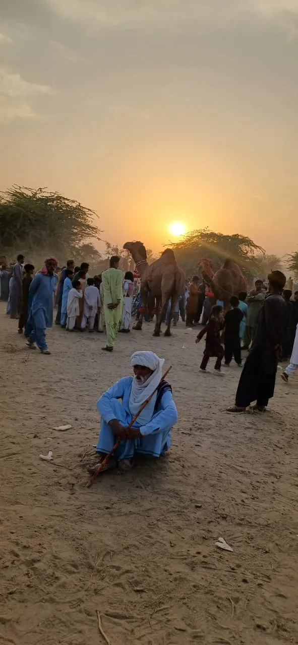 سخی سرور کا روایتی وساکھی میلہ: اونٹوں اور گھوڑوں کی خرید و فروخت کی منفرد محفل