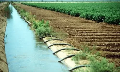 کاشتکاروں تک پانی فراہمی یقینی بنانیوالی پنجاب ڈرینج اتھارٹی ختم