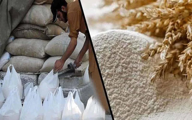 آٹے کے 20 کلو کے تھیلے کی قیمت میں اضافہ ہوگیا