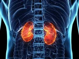 گرمی کی شدت سے گردوں کے مسائل میں اضافہ