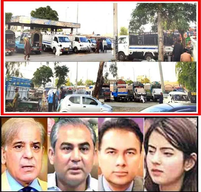 سیاسی بنیادوں پر تعینات ڈائریکٹرمیونسپل ایڈمنسٹریشن تجاوزات مافیا کیخلاف کارروائی کرنے سے گریزاں