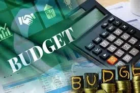 آئندہ وفاقی بجٹ میں ای ایف ایس کے خاتمے کا کوئی امکان نہیں: سینئر سرکاری اہلکار