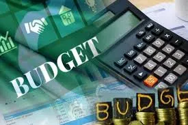 آئندہ وفاقی بجٹ میں ای ایف ایس کے خاتمے کا کوئی امکان نہیں: سینئر سرکاری اہلکار