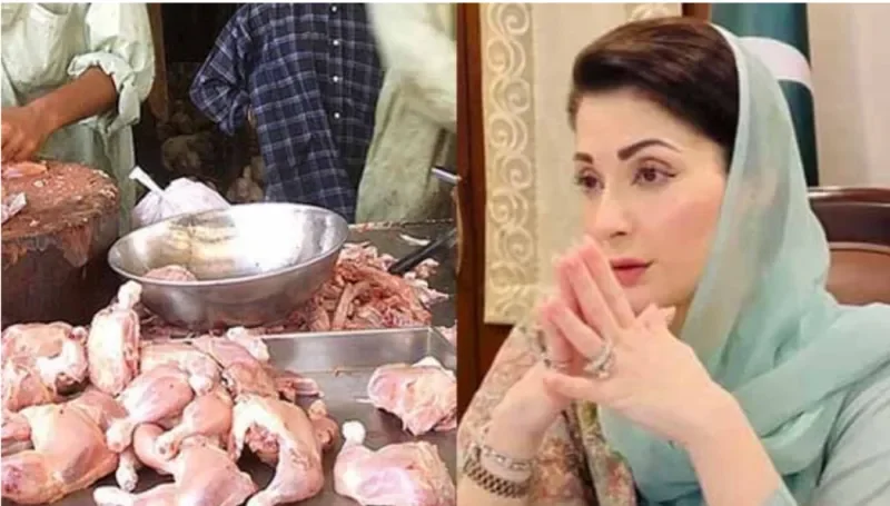 وزیراعلیٰ پنجاب مریم نوازشریف کا پنجاب میں چکن کے نرخ بڑھنے پر سخت اظہار برہمی