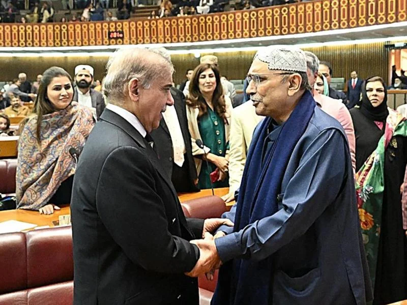 وفاقی بجٹ پر حکومت پیپلز پارٹی کی مفاہمت: چار مطالبات تسلیم