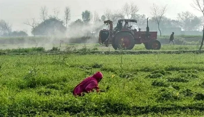 پنجاب میں زرعی آمدن پر ٹیکس میں 200 فیصد اضافہ