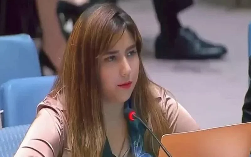 پاکستان نے اقوام متحدہ میں بھارت کا بھیانک چہرہ اور ناپاک عزائم بے نقاب کردیے