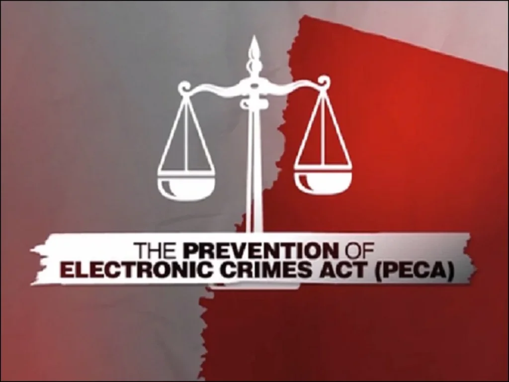 پیکا ترمیمی ایکٹ کے خلاف درخواستیں سماعت کے لئے مقرر