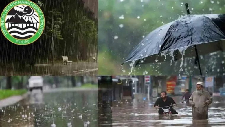 مون سون بارشیں پنجاب میں 25 جولائی تک جاری رہیں گی: پی ڈی ایم اے