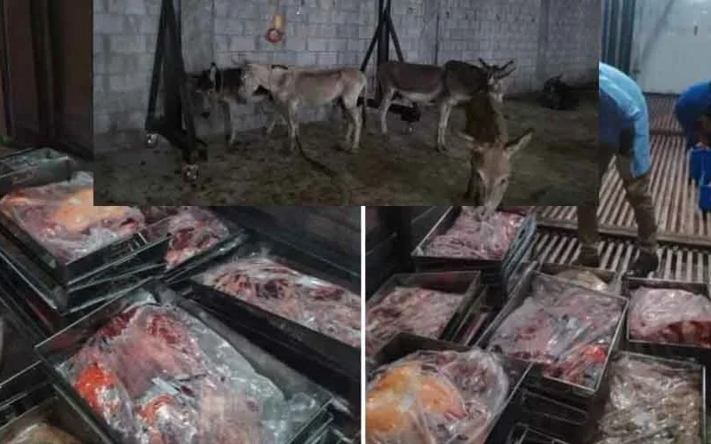 لاہور سمیت پنجاب میں گدھے کا گوشت فروخت کئے جانے کے شواہد نہیں ملے، ڈی جی فوڈاتھارٹی