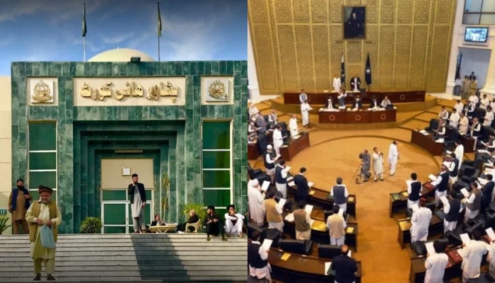 پشاور ہائیکورٹ نے کے پی اسمبلی کو مخصوص نشستوں پرحلف سے روک دیا