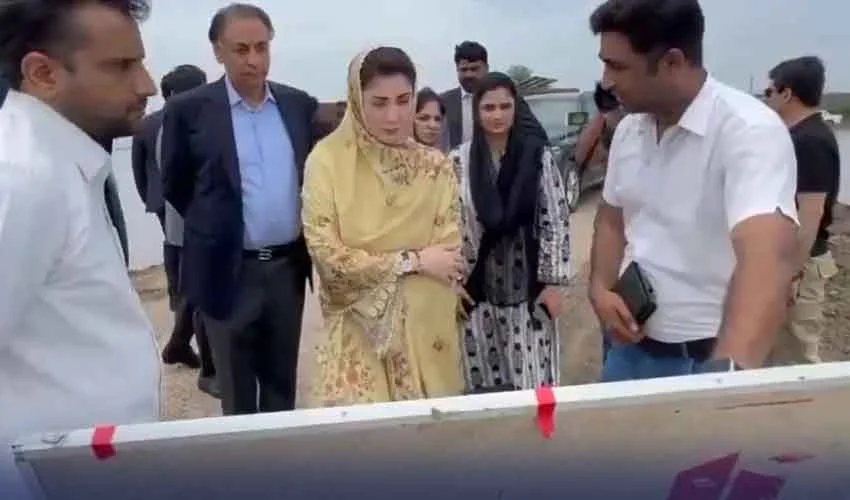 پنجاب میں سیلاب سے متاثرہ فصلوں اور لائیو اسٹاک کا ازالہ کرنے کا فیصلہ