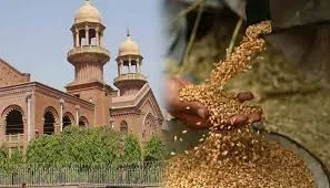 لاہور ہائیکورٹ کا فیصلہ: گندم کی قیمت مقرر نہ کرنے پر حکومت کو ہدایت