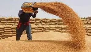 سیلابی صورتحال میں وفاق کا گندم امپورٹ نہ کرنے کا فیصلہ