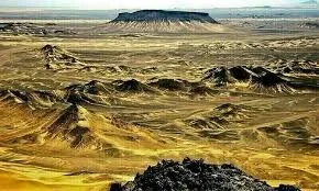 امریکا کی پاکستان میں تانبے میں سرمایہ کاری میں دلچسپی