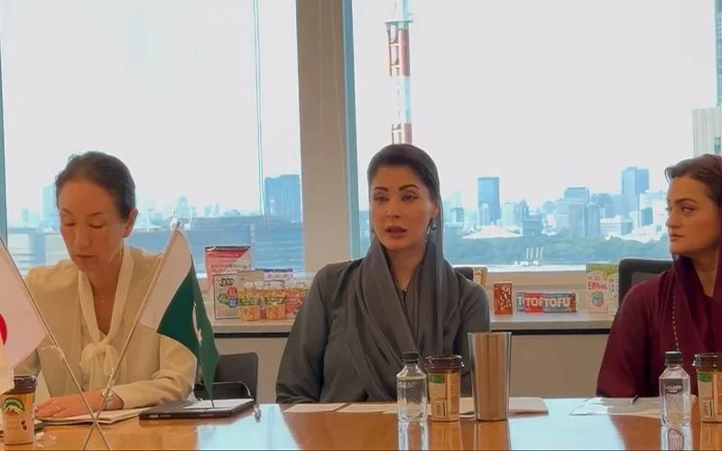 وزیراعلیٰ پنجاب کی جاپانی کمپنی موریناگا کو پنجاب میں سرمایہ کاری کی دعوت