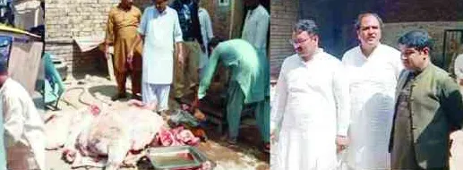 محکمہ لائیو سٹاک اور فوڈ اتھارٹی کا غیر قانونی سلاٹر ہائوس پر چھاپہ، 310کلو گرام گوشت تلف