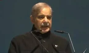 پاکستان ماحولیاتی چینلج سے تنہا نہیں نمٹ سکتا، دنیا کو ہماری مدد کرنا ہوگی، وزیراعظم