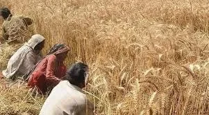 اگلی فصل کاشت کرنےکے پیسے نہیں، پنجاب حکومت نےکسان کو تباہ کرنےکا سوچا ہوا ہے:کسان اتحاد