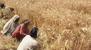 اگلی فصل کاشت کرنےکے پیسے نہیں، پنجاب حکومت نےکسان کو تباہ کرنےکا سوچا ہوا ہے:کسان اتحاد