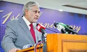 جنگ بندی بھارتی خواہش پر ہوئی، کسی کو سیز فائر کروانے کا نہیں کہا، اسحٰق ڈار