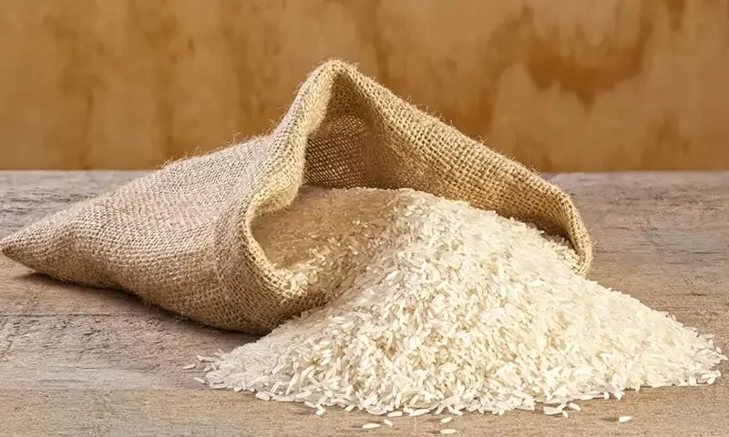 پاکستان میں شدید سیلاب کے باوجود باسمتی چاول کی فصل میں استحکام برقرار