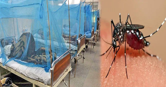 اسلام آباد میں 24 گھنٹے کے دوران ڈینگی کے مزید 12 کیس رپورٹ