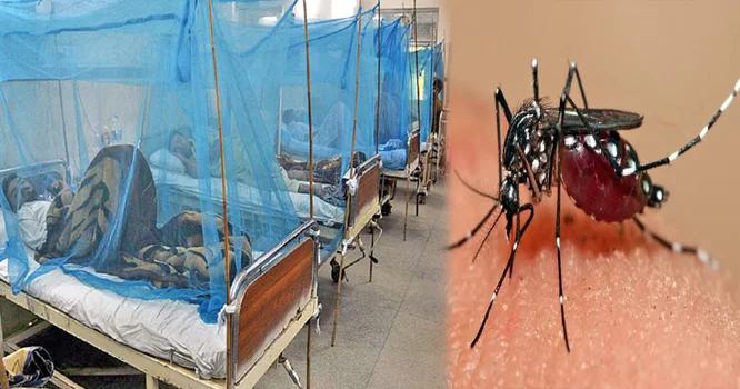 اسلام آباد میں 24 گھنٹے کے دوران ڈینگی کے مزید 12 کیس رپورٹ