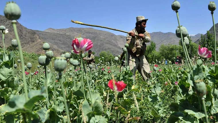 فیلڈ مارشل کی ہدایت پر بلوچستان میں منشیات کے خلاف فیصلہ کن مہم
