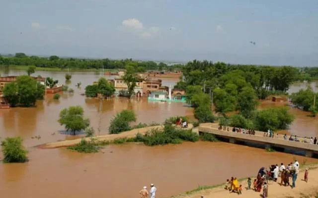 پنجاب اور خیبرپختونخوا میں سیلاب سے ربیع کی فصل متاثر ہوگی، ایف اے او کا انتباہ