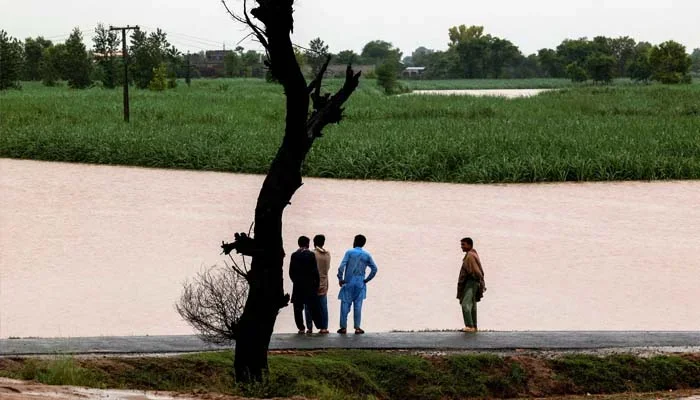 پنجاب: سیلاب سے 4.3 فیصد زرعی رقبہ متاثر،13 لاکھ ایکڑ زمین زیرِ آب آگئی