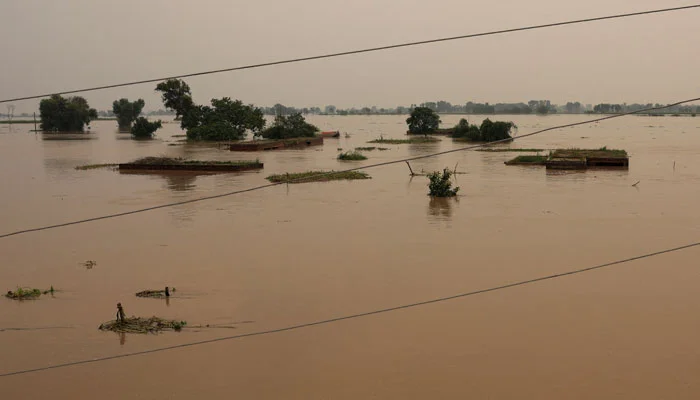 بھارت نے دریائےستلج میں مزید پانی چھوڑ دیا، ہریکے اورفیروز پور اونچے درجے کے سیلاب کا خطرہ